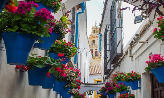 哥多華舊城區 Cordoba Old Town